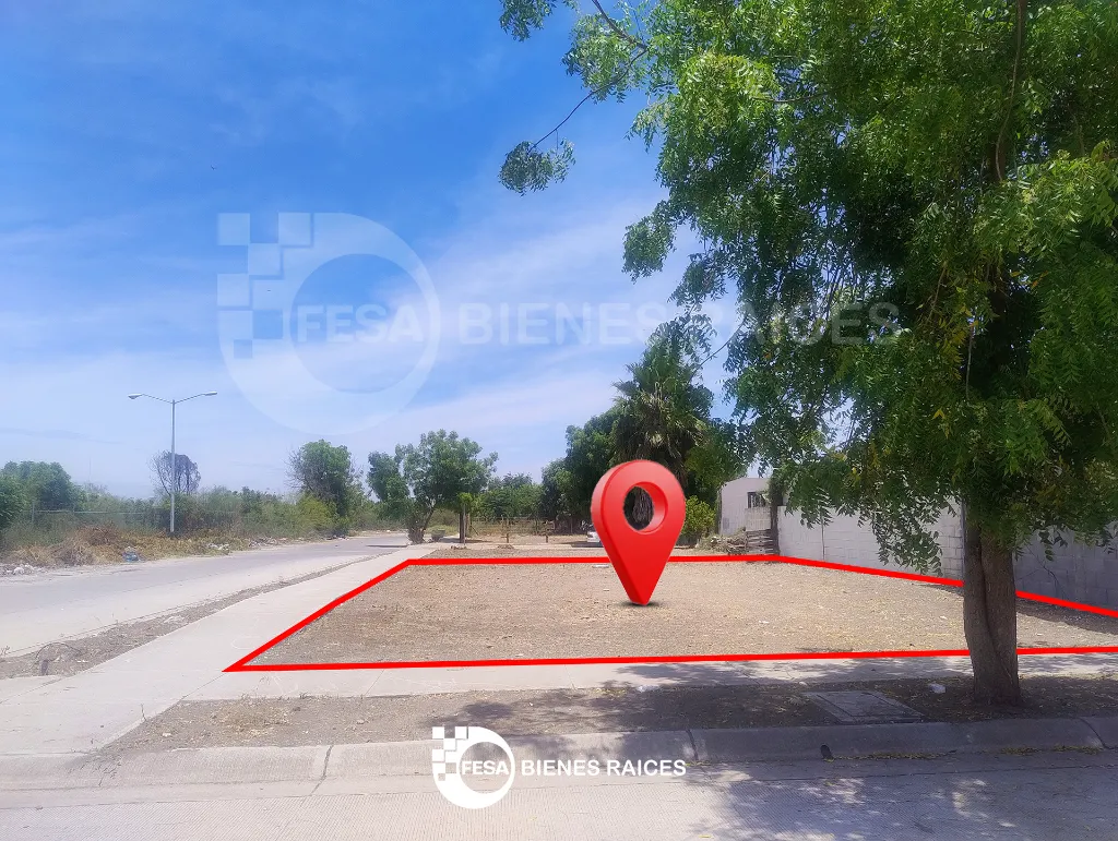 F06.webp